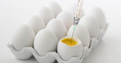 Alergia ao ovo: cuidados na hora de vacinar