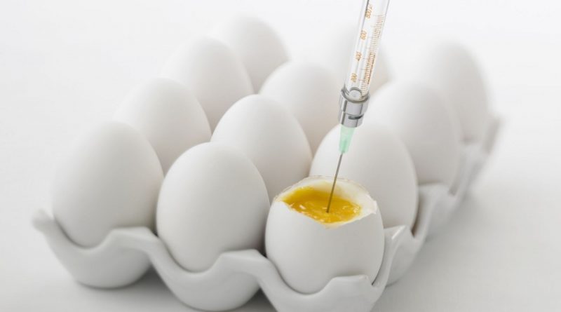 Alergia ao ovo: cuidados na hora de vacinar
