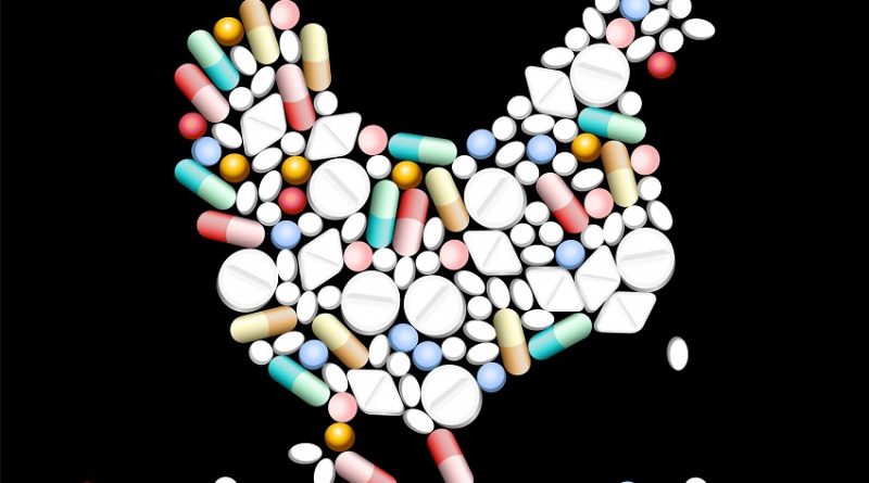 O problema com os frangos são os hormônios ou antibióticos?